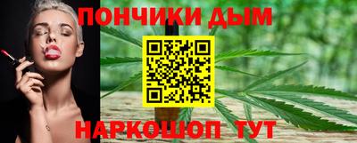 ALPHA PVP Гатчина