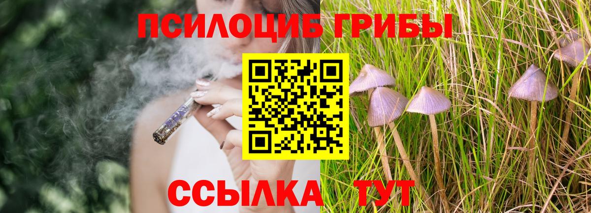 Новокубанск  Галлюциногенные грибы ЛСД  Вход с VPN 
